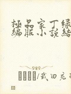 极品家丁绿帽改编版小说结局徐芷晴