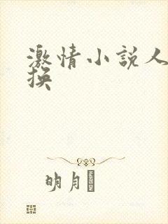 激情小说人妻交换封面