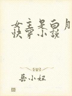 女主是白月光的快穿小说