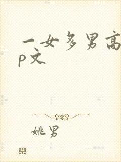 一女多男高hnp文封面