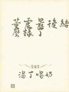 董震最后结局怎么样了封面