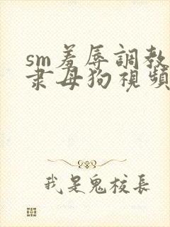 sm羞辱调教奴隶母狗视频