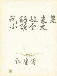 我的姐夫是太子小说全文