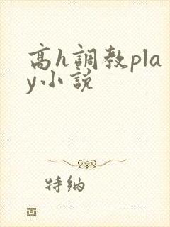 高h调教play小说