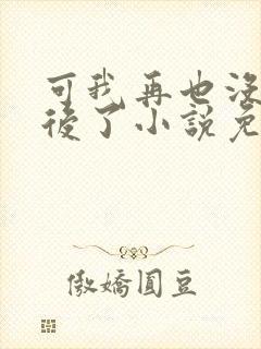 可我再也没有以后了小说免费阅读