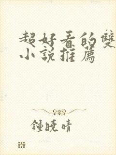 超好看的双男主小说推荐