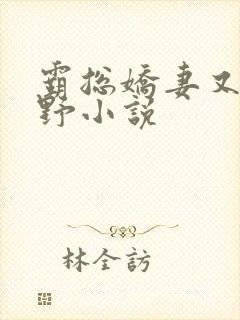 霸总娇妻又辣又野小说封面