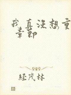 我真没想重生啊 章节