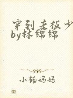 穿到老板少年时by林绵绵