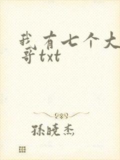 我有七个大佬哥哥txt