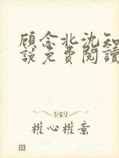 顾念北沈知宁小说免费阅读最新章节