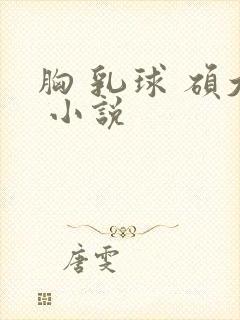 胸 乳球 硕大 小说
