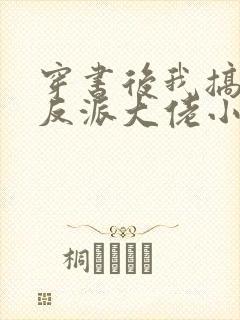 穿书后我搞到了反派大佬小说