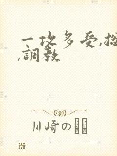 一攻多受,总攻,调教