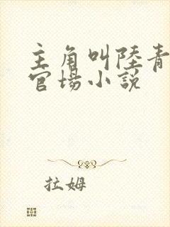 主角叫陆青云的官场小说封面