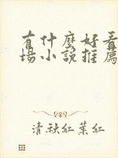 有什么好看的官场小说推荐一下