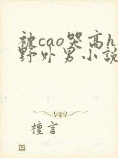 被cao哭高h野外男小说