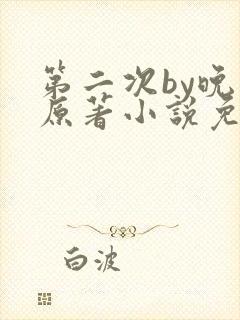 第二次by晚月原著小说免费阅读