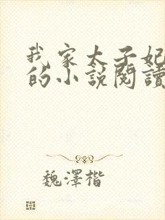 我家太子妃超凶的小说阅读全文