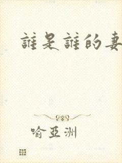 谁是谁的妻小说