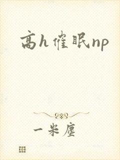 高h催眠np