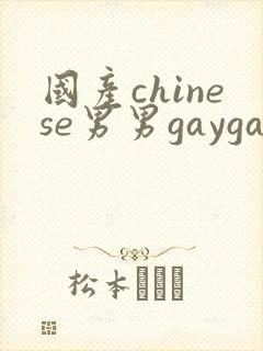 国产chinese男男gaygay网站, chinese