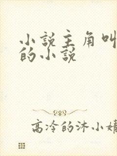 小说主角叫林羽的小说