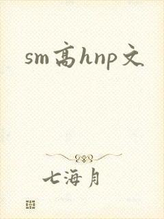 sm高hnp文