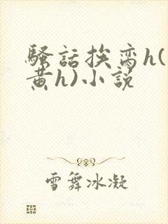 骚话挨脔h(全黄h)小说封面