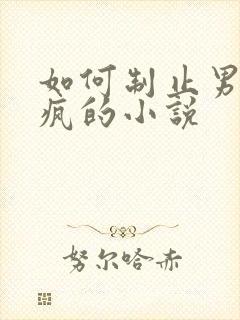 如何制止男主发疯的小说