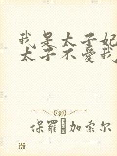 我是太子妃,但太子不爱我