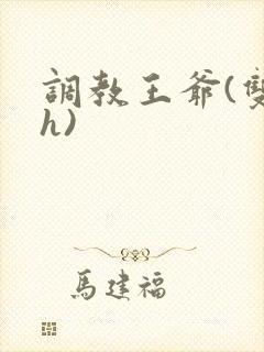 调教王爷(双性h)