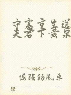 守寡重生送断袖夫君下黄泉免费有声小说封面