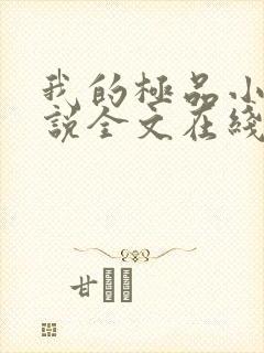 我的极品小姨小说全文在线阅读封面