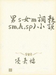 男s女m调教(sm,h,sp)小说