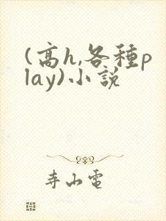 (高h,各种play)小说