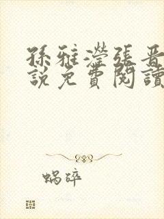 孙雅滢张晋的小说免费阅读无弹窗