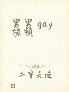 男男 gay 视频