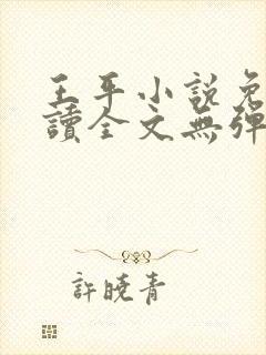 王平小说免费阅读全文无弹窗