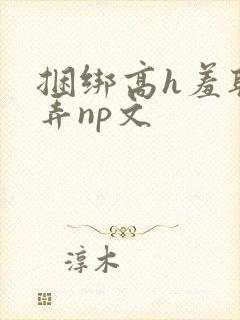 捆绑高h羞耻玩弄np文