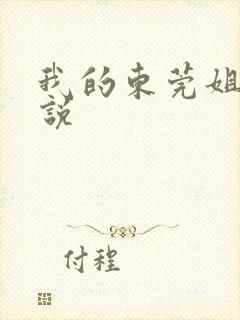 我的东莞姐姐小说