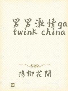 男男激情gay twink china封面