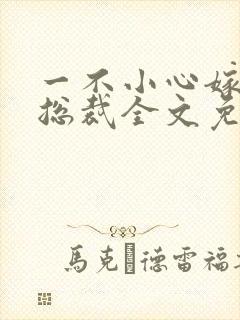 一不小心嫁了个总裁全文免费阅读