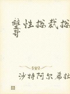 双性总裁总被哥哥封面