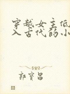 穿越女主低调融入古代的小说