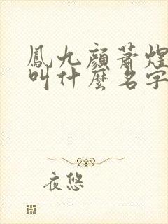 凤九颜萧煜小说叫什么名字