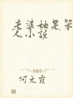 老婆她是笨蛋美人小说