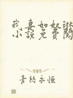 我妻如奴琳原文小说免费阅读封面