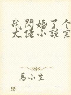 我闪婚了个财阀大佬小说完整版