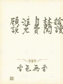 顾淮月林拾安小说免费阅读最新章节